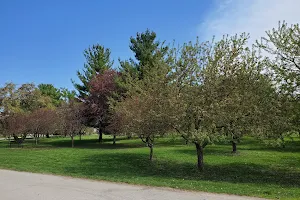 Arie den Boer Arboretum image