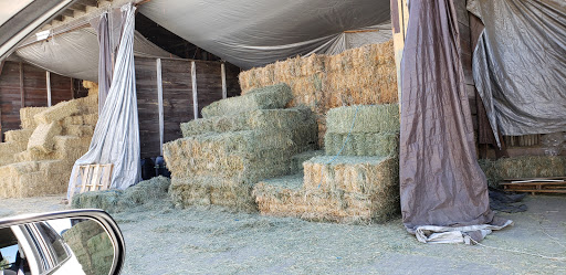 Pet Supply Store «Concord Feed Pet & Livestock Supplies», reviews and photos, 228 Hookston Rd, Pleasant Hill, CA 94523, USA