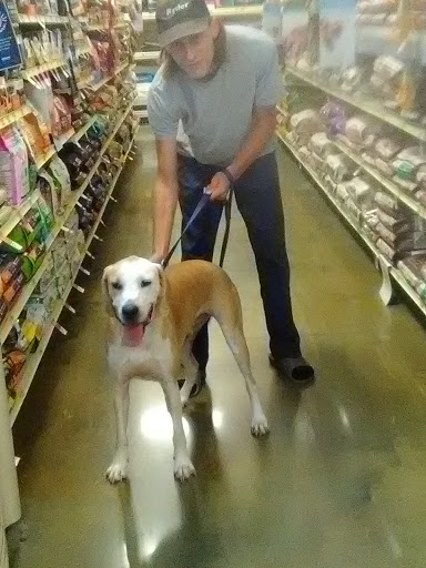 Pet Supply Store «PetSmart», reviews and photos, 24005 U.S. 27, Lake Wales, FL 33859, USA