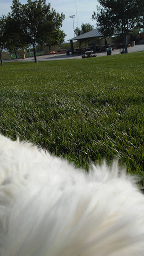 Park «All American Park», reviews and photos, 1551 S Buffalo Dr, Las Vegas, NV 89117, USA