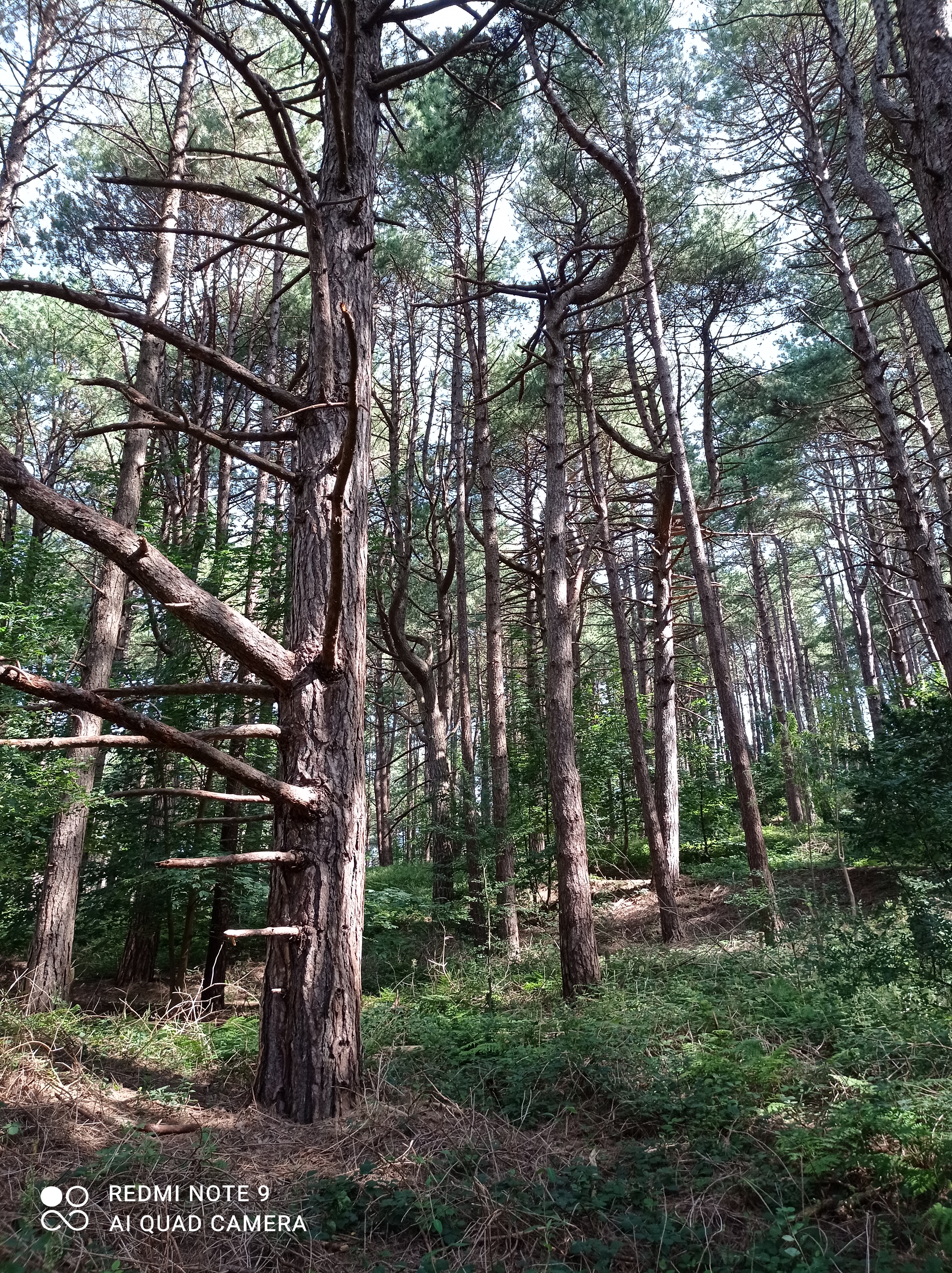 Photo n° 20 de l'avis de Michael.u fait le 15/08/2021 à 18:06