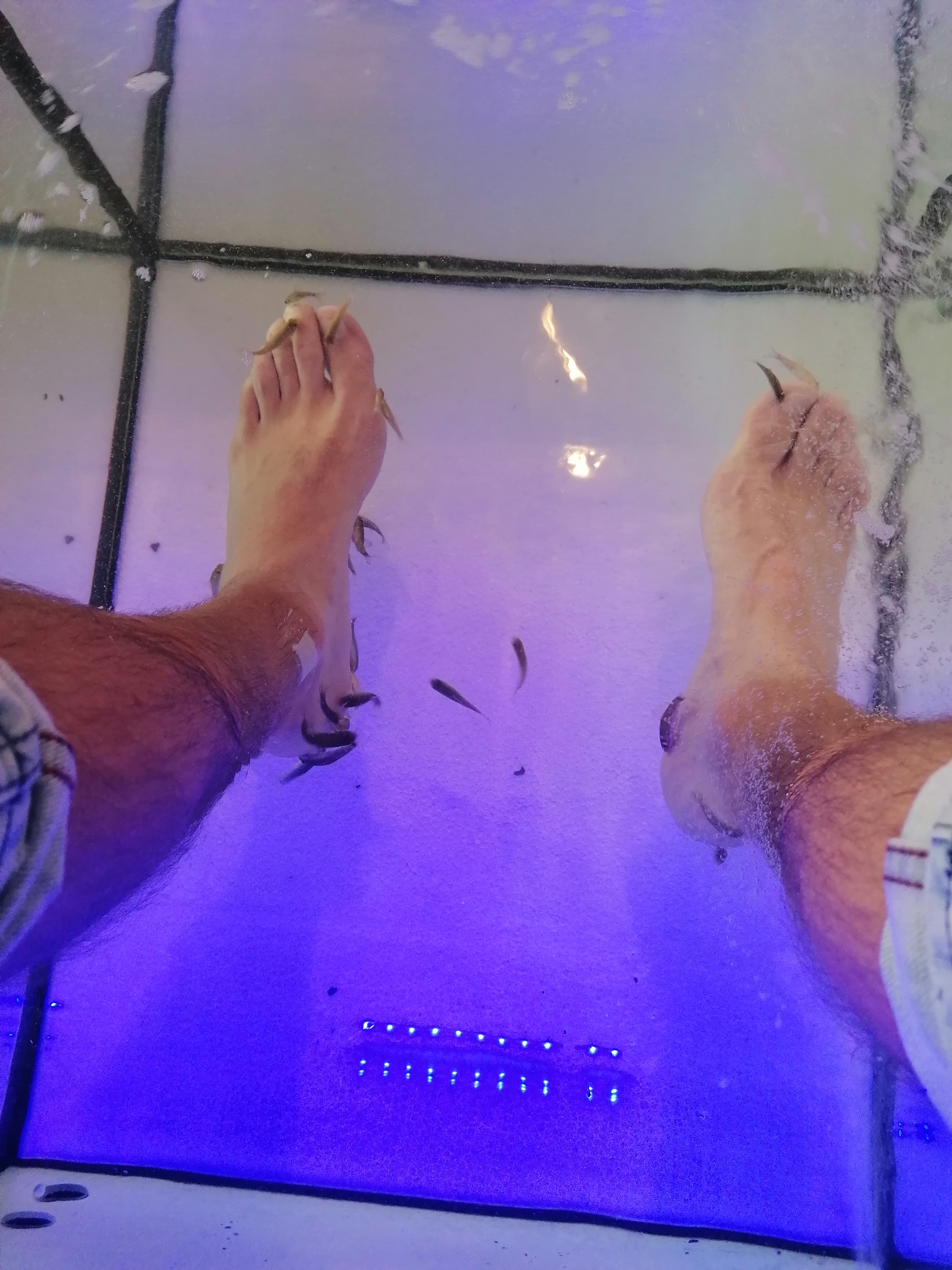 Photo n° 1 de l'avis de Franck.o fait le 26/07/2021 à 20:34