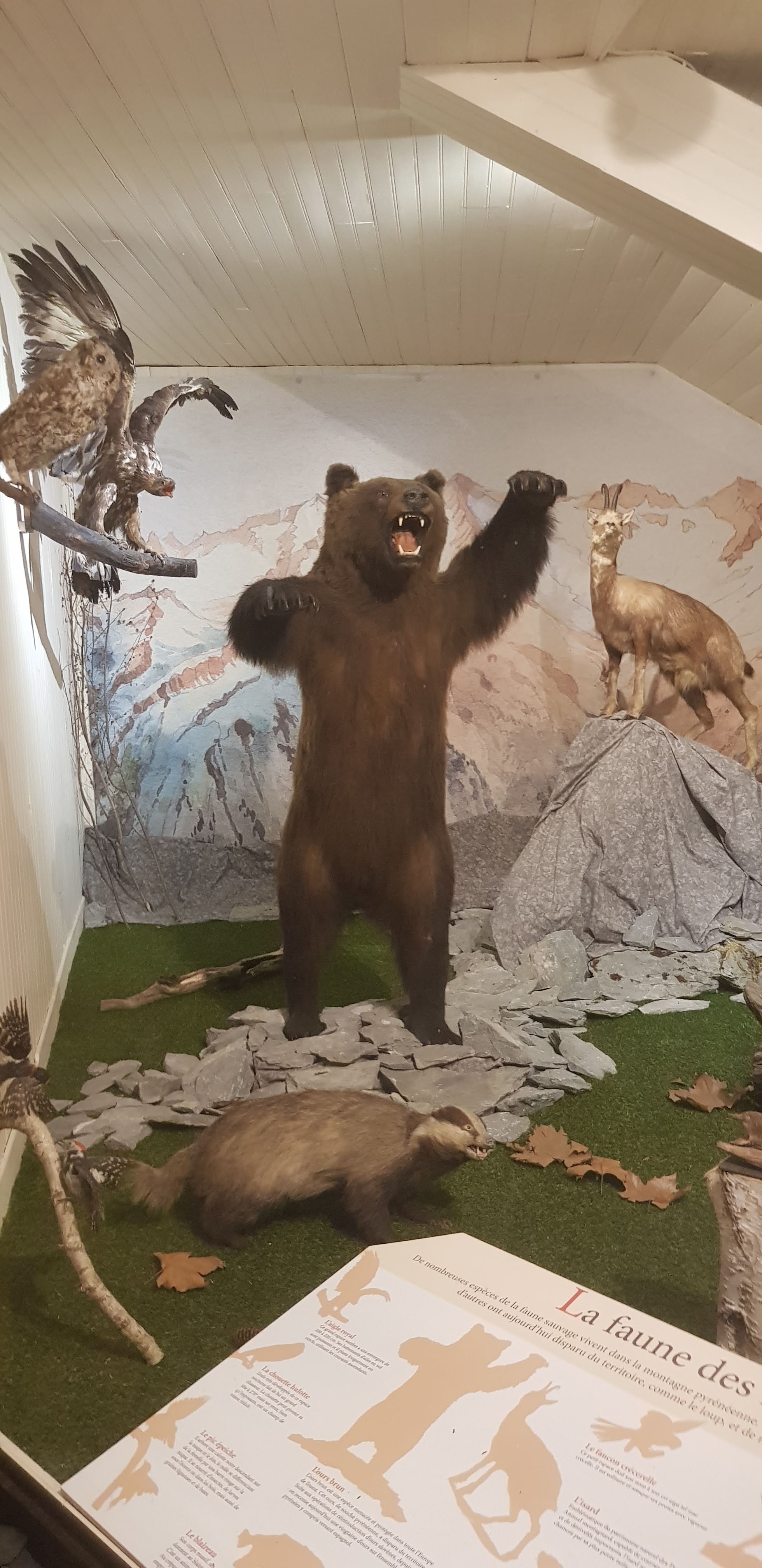 Photo n° 4 de l'avis de Patrick.e fait le 22/08/2018 à 09:02