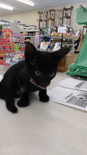 Pet Supply Store «Pet Supplies Plus», reviews and photos, 1258 Northlake Blvd, Lake Park, FL 33403, USA