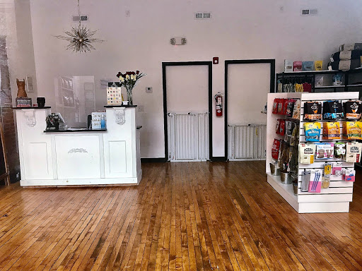 Pet Supply Store «The Pet Snobs Boutique», reviews and photos, 534 S 4th St, Philadelphia, PA 19147, USA
