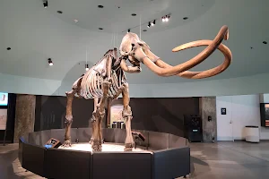 La Brea Tar Pits and Museum image