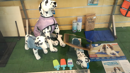 Dog groomers in Stockholm