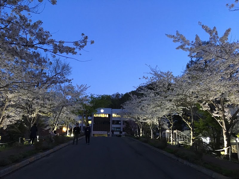 小樽商科大学