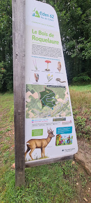 Forêt de Roquelaure à Lapugnoy