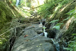 Big Alder Creek Falls image