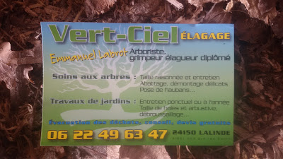 Vert-ciel Elagage à Lalinde
