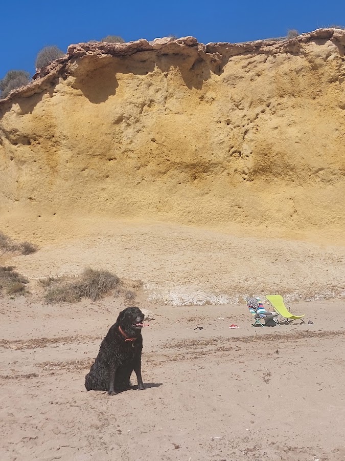 Playa de los Cocedores