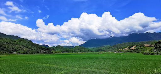 Top 20 cửa hàng ainosofia Huyện Mai Châu Hòa Bình 2022