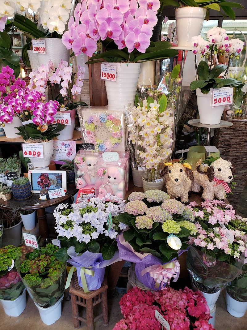 florist 陽花里（生花小売業）