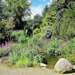 Photo n°13 de l'avis de Adya. fait le 15/08/2021 à 02:20 sur le  Café & Bistro Harzkristall à Derenburg