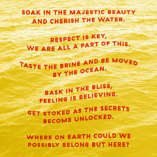 Surf Shop «2 Mile Surf Shop», reviews and photos, 22 Brighton Ave, Bolinas, CA 94924, USA