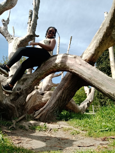 Park «Ravenna Park», reviews and photos, 5520 Ravenna Ave NE, Seattle, WA 98105, USA