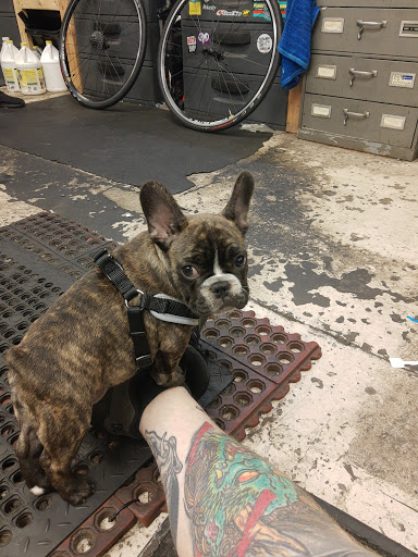 Bicycle Store «K&G Bike Center», reviews and photos, 4090 Marshall Rd, Dayton, OH 45429, USA