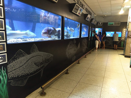 Aquarium «Woods Hole Science Aquarium», reviews and photos, 166 Water St, Woods Hole, MA 02543, USA