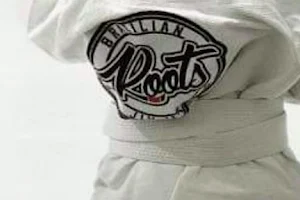 Roots Brazilian Jiu-Jitsu image