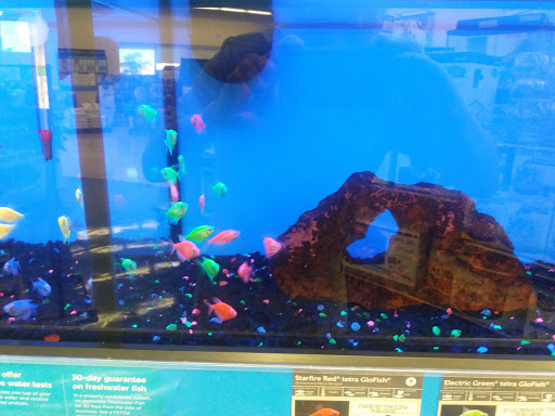 Pet Supply Store «Petco Animal Supplies», reviews and photos, 4665 Garth Rd #400, Baytown, TX 77521, USA