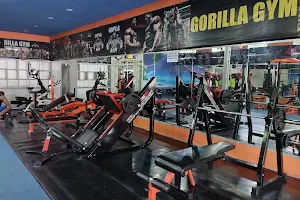 Gorilla Gym image