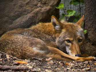 Sulphur Creek Nature Center