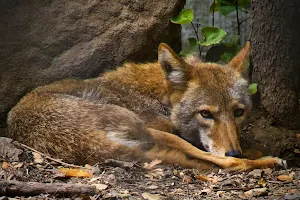 Sulphur Creek Nature Center image