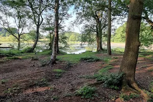 Sutton Park image