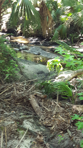 Park «Soliders Creek Park», reviews and photos, 2400 FL-419, Longwood, FL 32750, USA