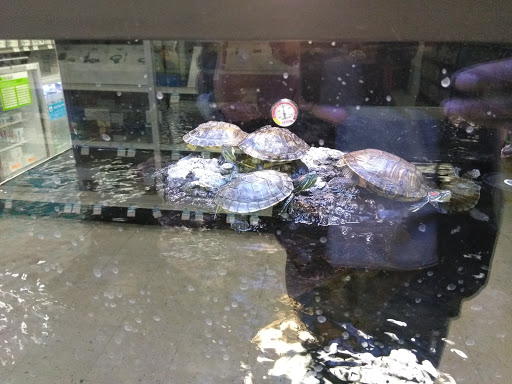 Petco image