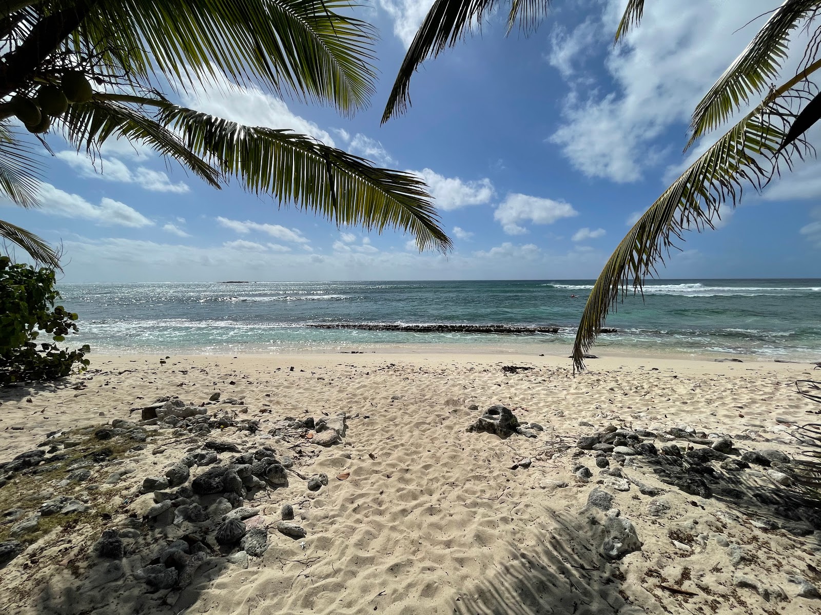 Foto di South Sound beach con una costa spaziosa