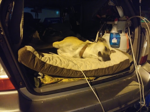 Shopping Mall «Airport Mall», reviews and photos, 1129 Union St, Bangor, ME 04401, USA