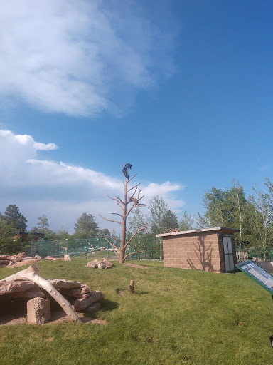 Water Park «Watiki Indoor Waterpark Resort», reviews and photos, 1314 N Elk Vale Rd, Rapid City, SD 57701, USA