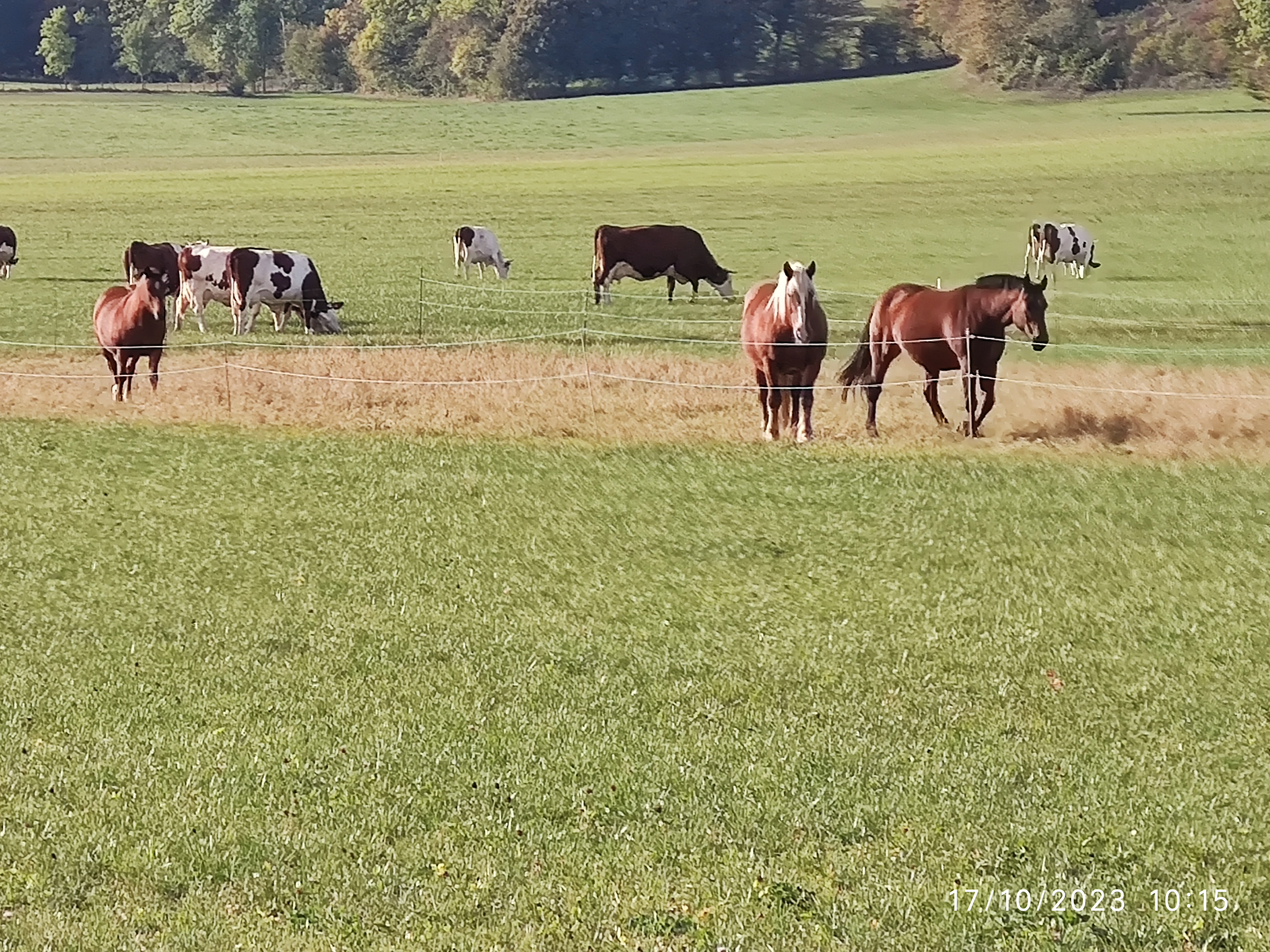 Photo n° 35 de l'avis de Patrick.i fait le 12/12/2023 à 10:07