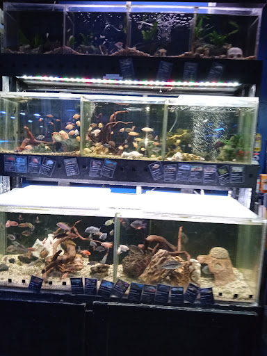 Tropical Fish Store «Aquatic Design», reviews and photos, 1629 N Central Expy, Plano, TX 75075, USA