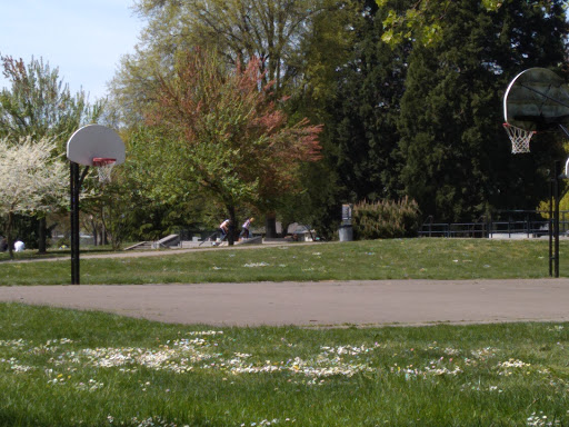 Park «Willamalane Park», reviews and photos, 1276 G St, Springfield, OR 97477, USA