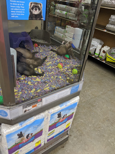 Pet Supply Store «Petco Animal Supplies», reviews and photos, 1215-1309 NJ-33 #1, Hamilton Township, NJ 08690, USA