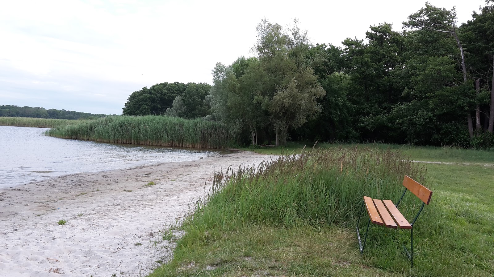 Zdjęcie Hundestrand Dahmen dziki obszar