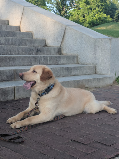State Park «Vicksburg National Military Park», reviews and photos, 3201 Clay St, Vicksburg, MS 39183, USA