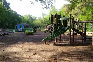 Laurel Street Park image