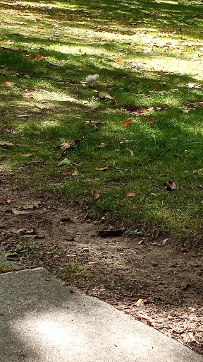 Park «Tyler Park», reviews and photos, 51 Tyler Park, Lowell, MA 01851, USA