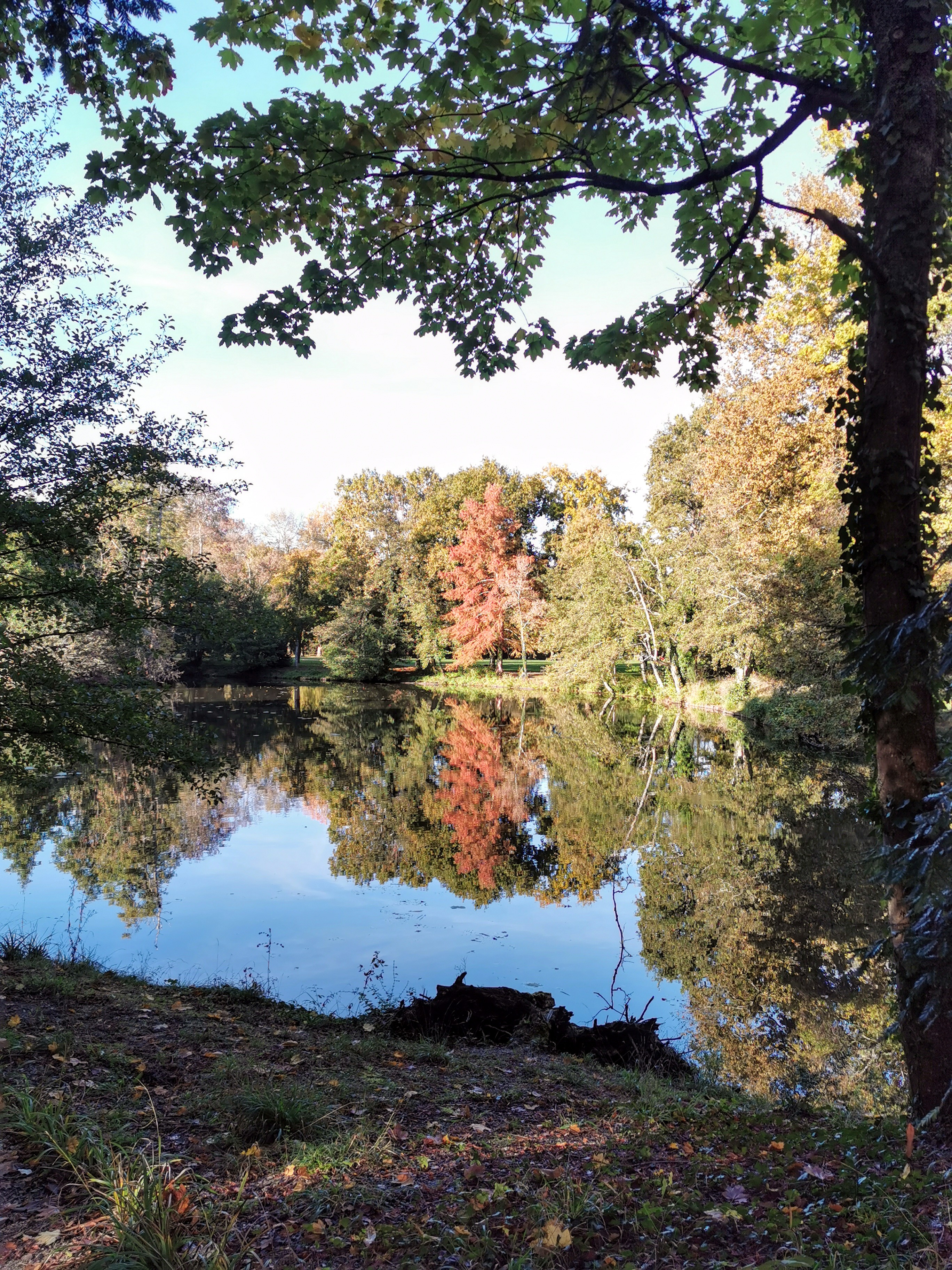 Photo n° 35 de l'avis de Alexandre.l fait le 27/10/2021 à 18:59