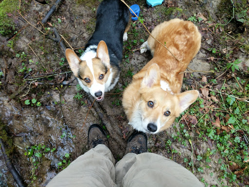 Pet Store «All About Pets LLC», reviews and photos, 52567 Columbia River Hwy, Scappoose, OR 97056, USA