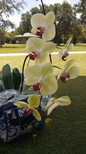 Park «Plantation Heritage Park», reviews and photos, 1100 S Fig Tree Ln, Plantation, FL 33317, USA