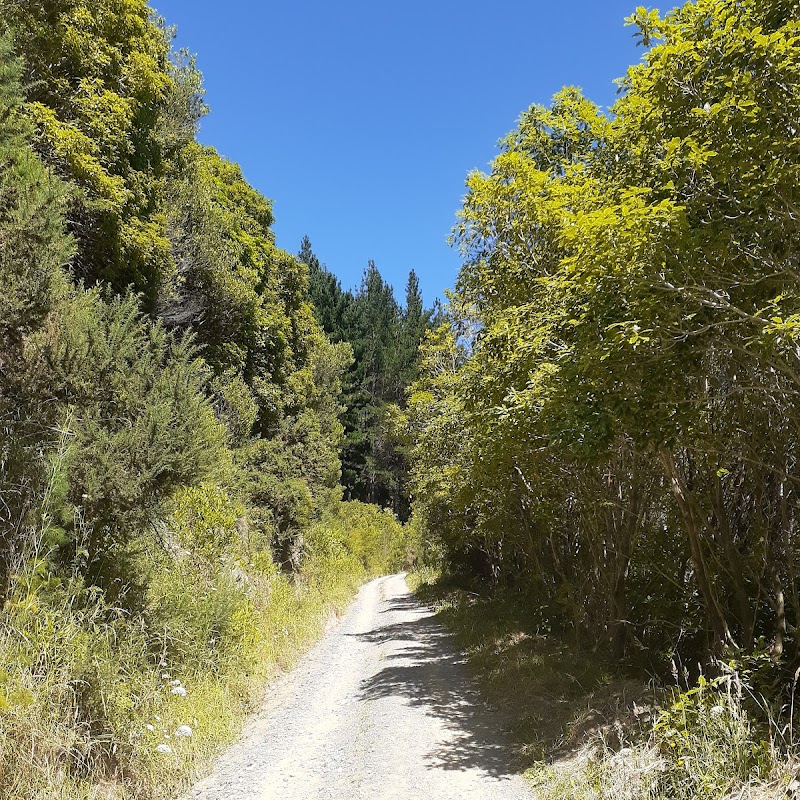 Barnicoat Range Walkway