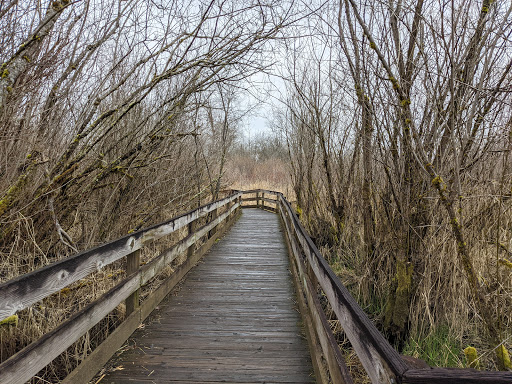 Park «Marymoor Park», reviews and photos, 6046 West Lake Sammamish Pkwy NE, Redmond, WA 98052, USA