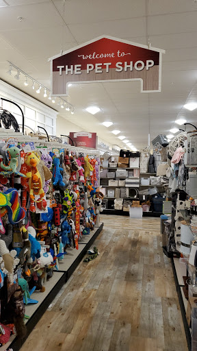 Department Store «HomeGoods», reviews and photos, 1255 Raritan Rd, Clark, NJ 07066, USA