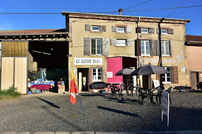 Le lotus bleu à Fontenoy-la-Joûte