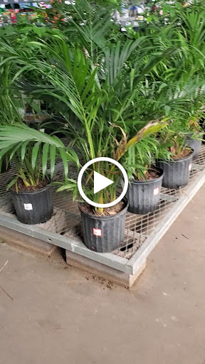 Home Improvement Store «The Home Depot», reviews and photos, 9890 N 90th St, Scottsdale, AZ 85258, USA